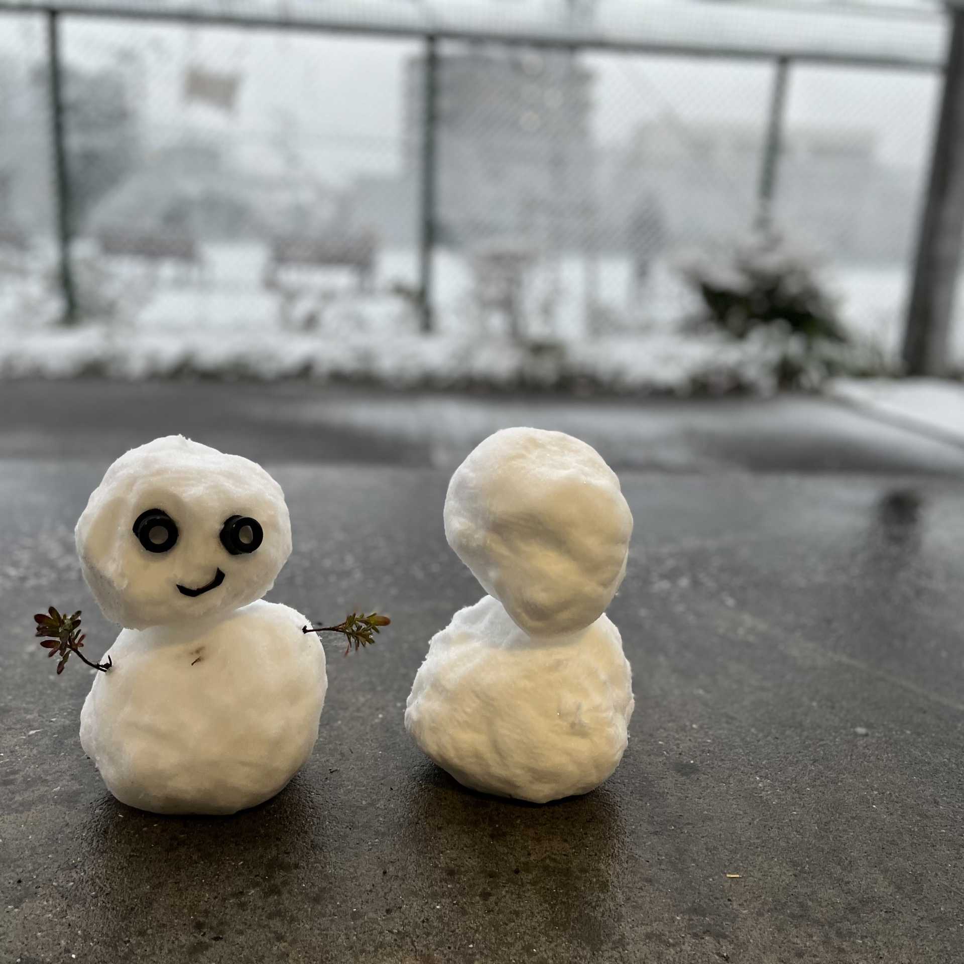 雪が降った！